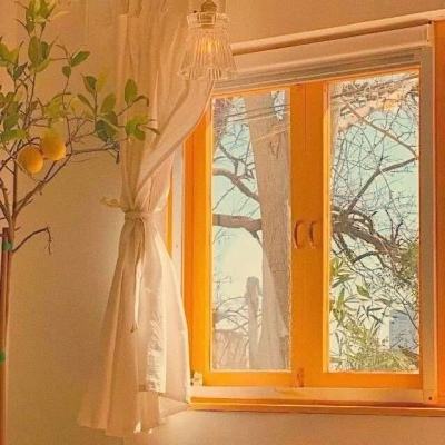 助赢软件下载手机版